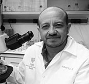 Dr. Alberto Bago