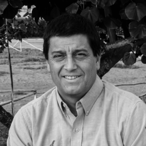Juan Carlos Bisbal Valdivia